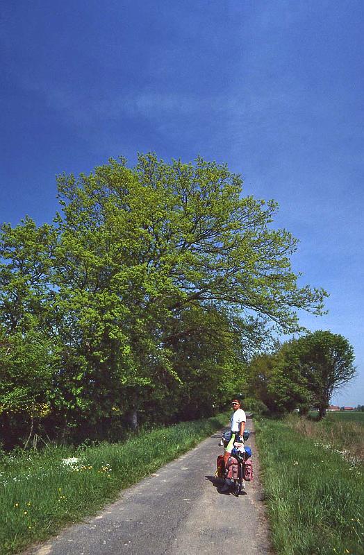 WT 2500 319-26 France 92.jpg